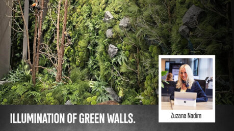 Example of an illuminated living green wall